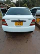 A picture of Corolla x