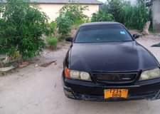 A picture of Chaser toureger