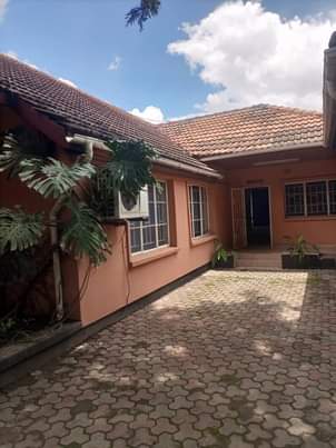 northmead