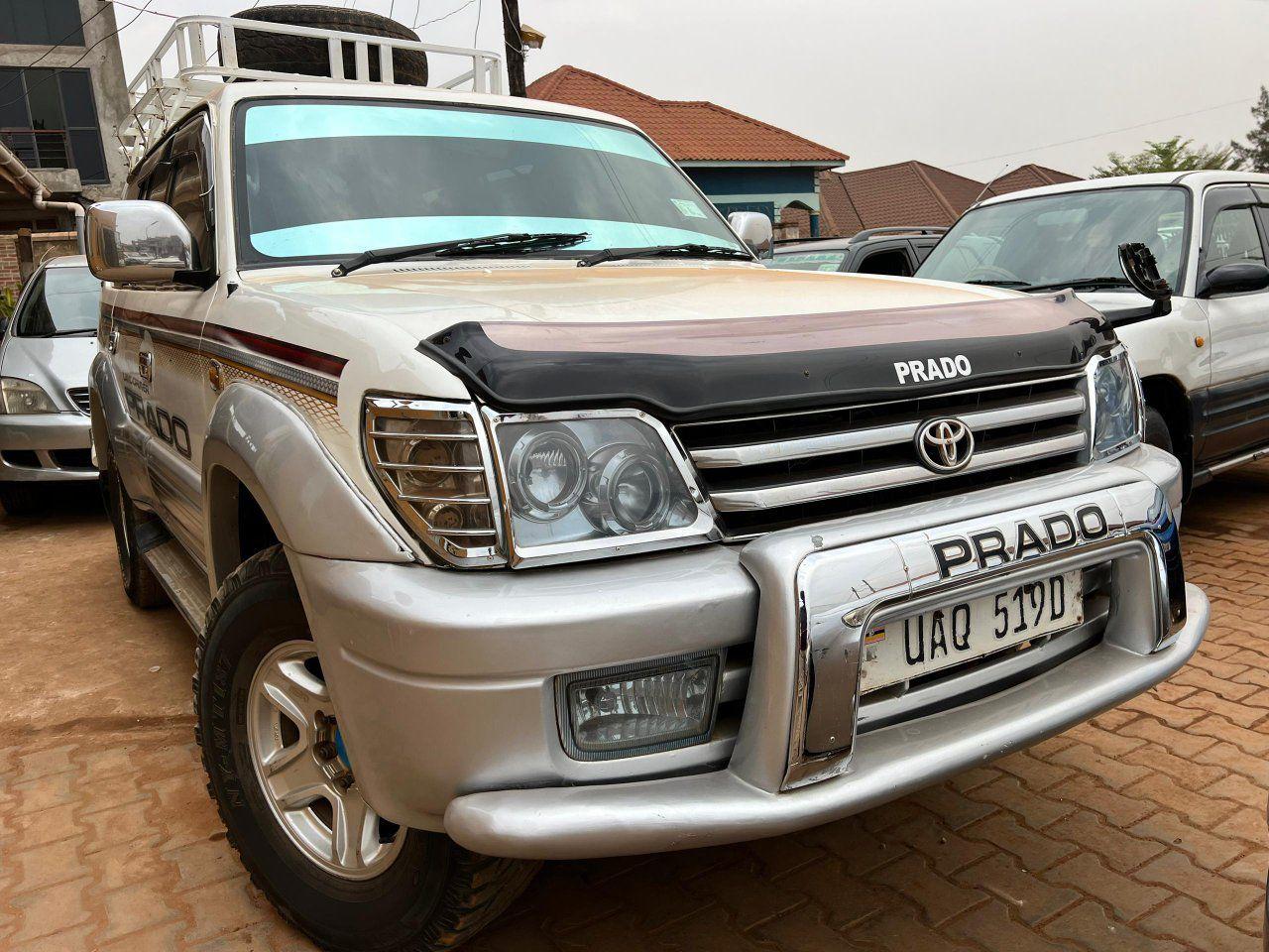 A picture of TZ PRADO
