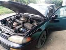 A picture of Camry orobo