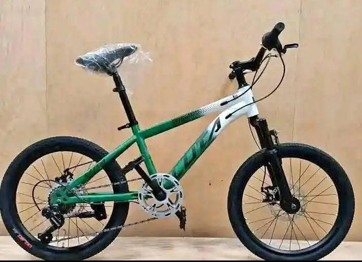 A picture of LIPA MDOGO MDOGO BICYCLE