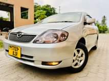 A picture of TOYOTA RUNEX