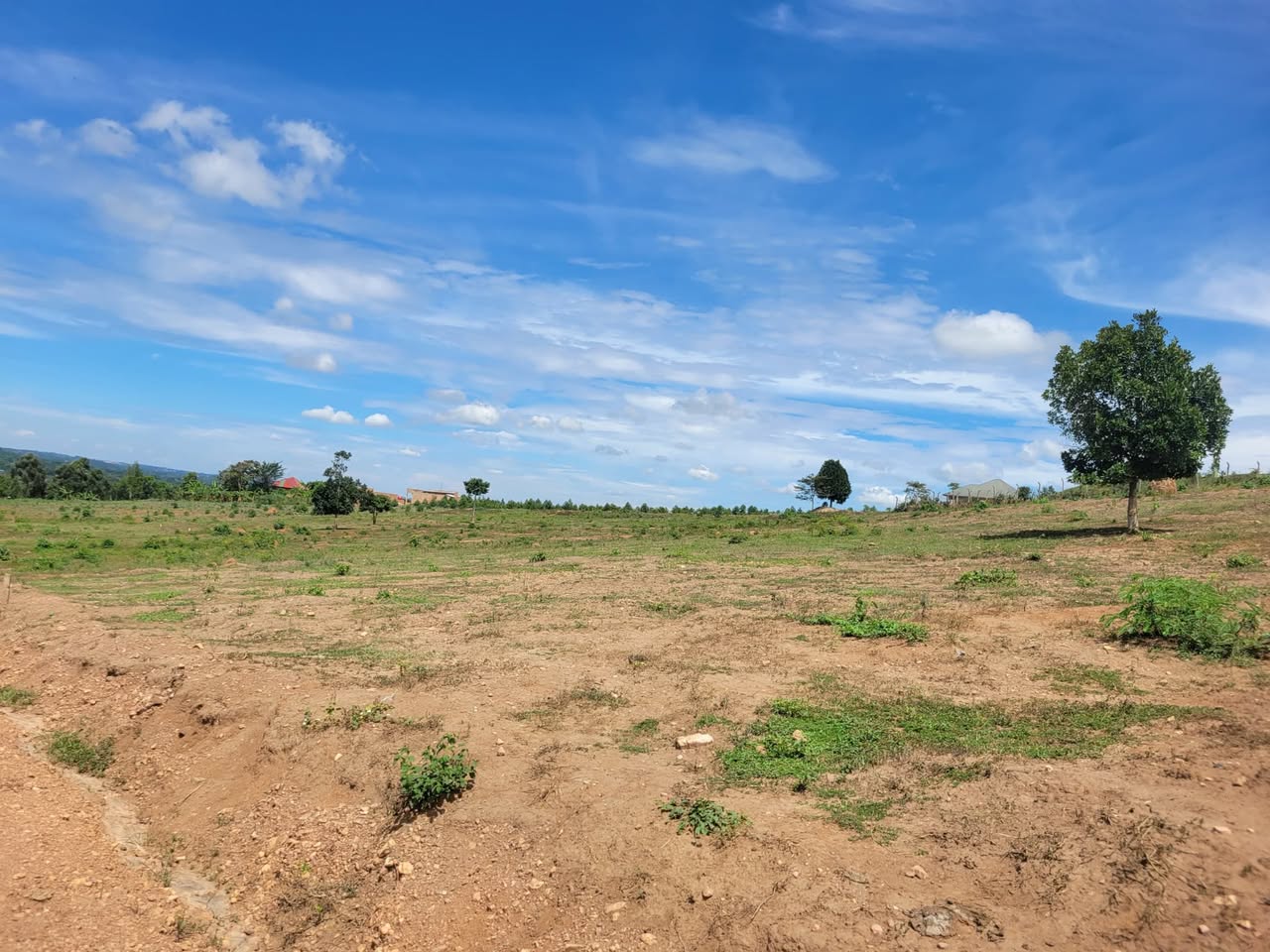 A picture of TITLED PLOT AT WAKISO GOBERO