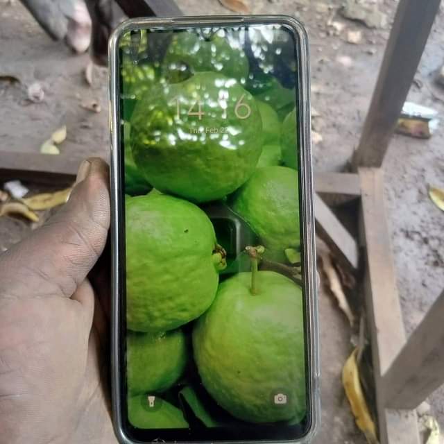 tecno pop