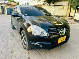 A picture of Nissan dualis