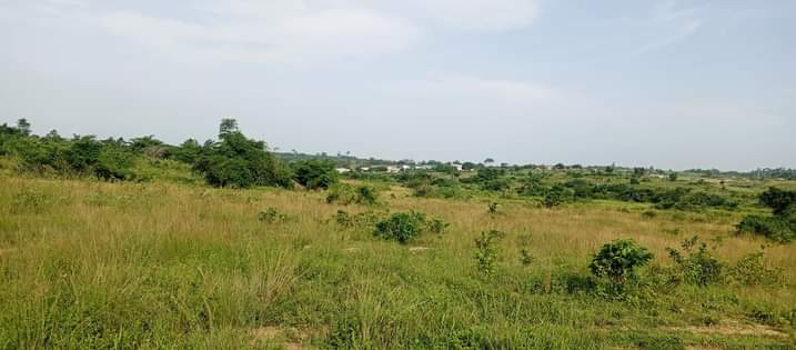 Ghana R.