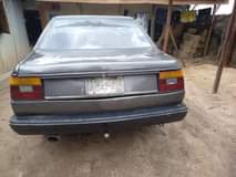 A picture of Jetta