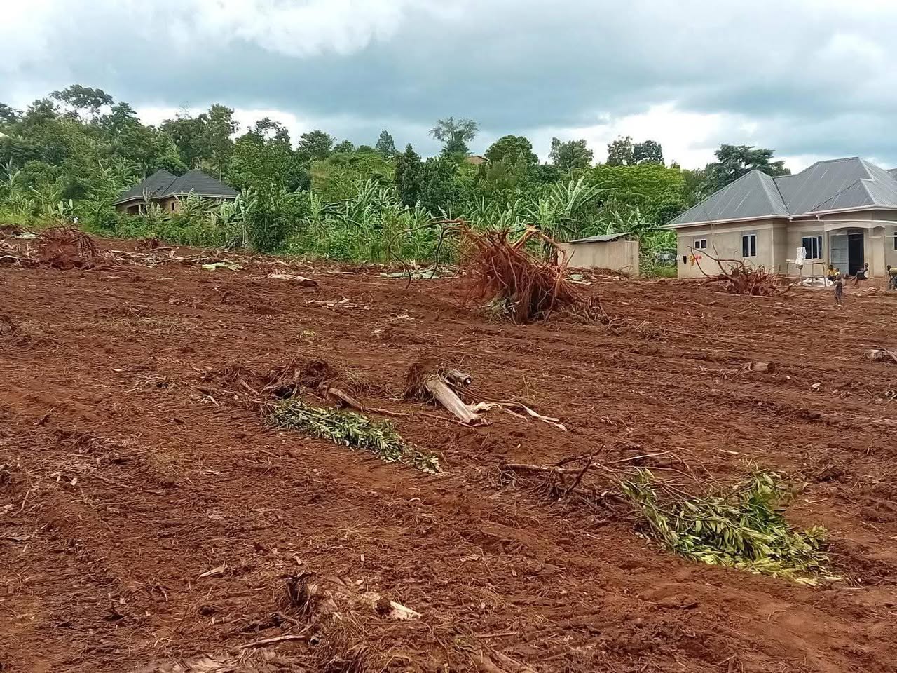 A picture of Affordable plots