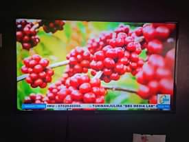 A picture of 5 months used LG 43 TV on sale