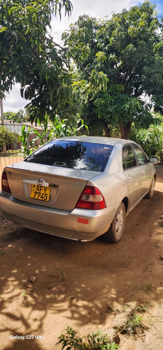 toyota corolla bubble