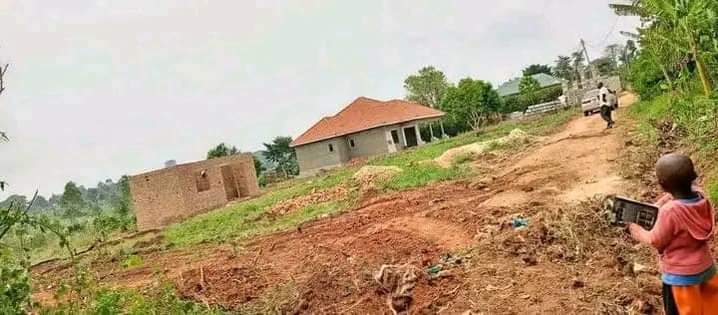 A picture of Cheap plots