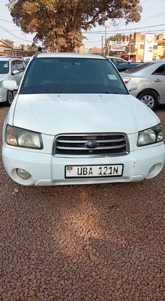 A picture of Subaru