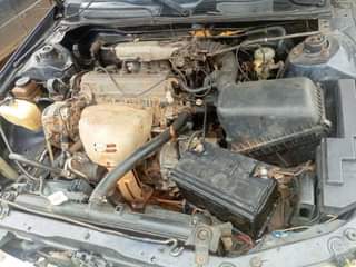 A picture of camry fish light