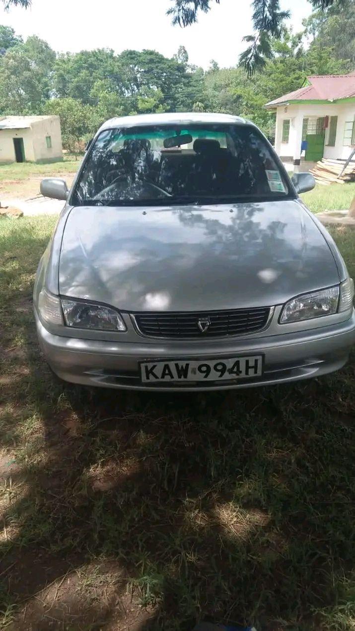used toyota corolla