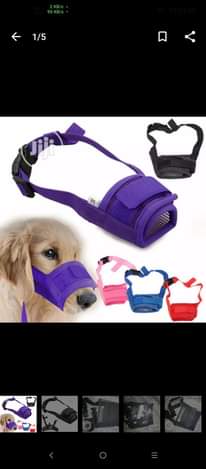 A picture of Dog Mouth Guard
