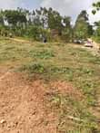 A picture of Good plots of land in sentema for sale near mirembe