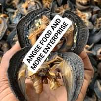 A picture of We have different sizes of snails if you need send