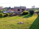 A picture of Italian fashion house at Gayaza