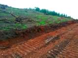 A picture of CHRISTMAS OFFER 50BY100 AT 7M ONLY AGREEMENT LAND