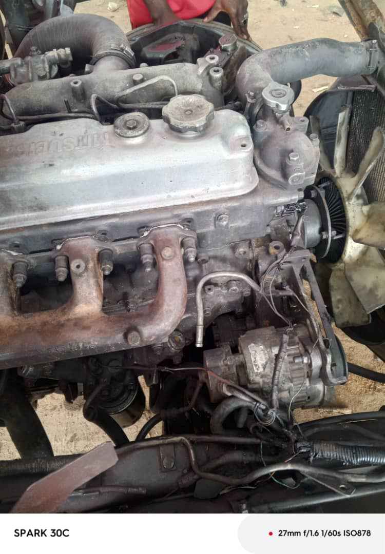 A picture of Canter Algon