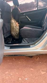 A picture of I need money 26m call whatapp me 0756077850