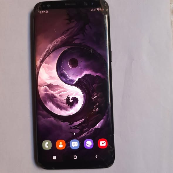 A picture of Samsung Galaxy S8