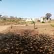 A picture of ENEO PAMOJA NA BOMA LINAUZWA MABWEPANDE MIL 20