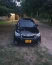 A picture of forester xt