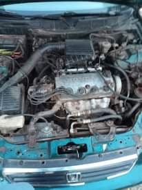 A picture of FISH EYE CIVIC