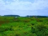 A picture of 50 100ft titled plots at our kakiri kikandwa Bukelekele Estate
