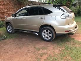 A picture of Harrier kawundo
