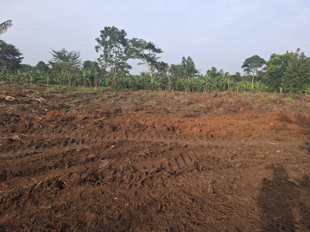 A picture of Plots for sale in luwero