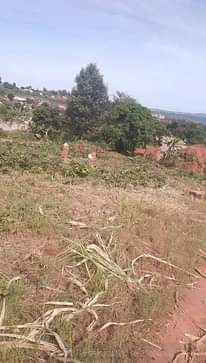 A picture of Nice Plots for sale Price 6millions