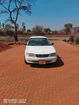 used toyota corolla