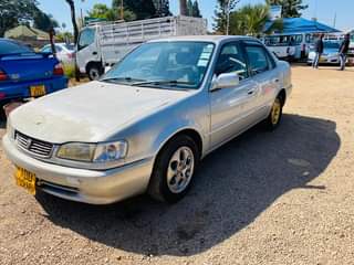 used toyota corolla