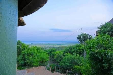 A picture of Tourism Hotel Ugx 800 million 206 212 Commercial Property for