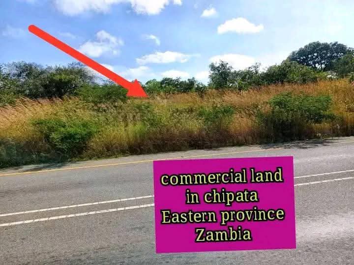 commercial