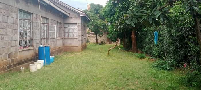 house kahawa