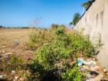 A picture of BEACH PLOT FOR SALE