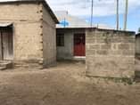 A picture of Banda
