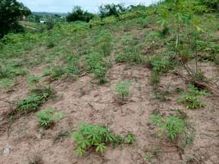 A picture of KIWANJA SQMT 1600 KINAUZWA KINYEREZI KIFULU VIBULA