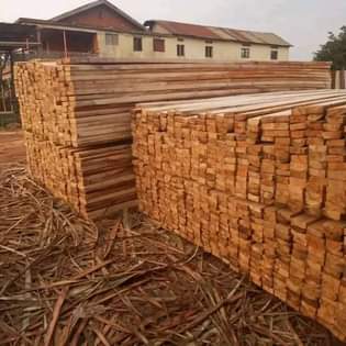 A picture of Kojja Morgan timber suppliers