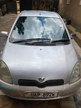 A picture of Vitz