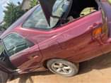 A picture of Wine Camry Tiny Light For Sale