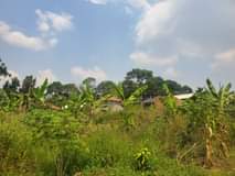 A picture of HALF ACRE ON SALE IDEAL FOR FARMING AND OTHER RELATED
