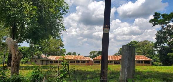 plots mukono