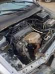 A picture of Clean Toyota picnic