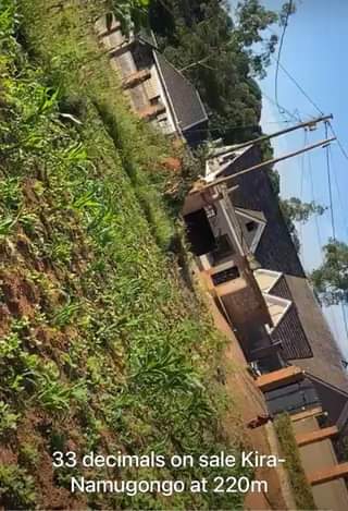 A picture of Plots Fir Sale Kiira
