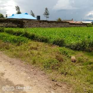 A picture of Quick sale plot for sale